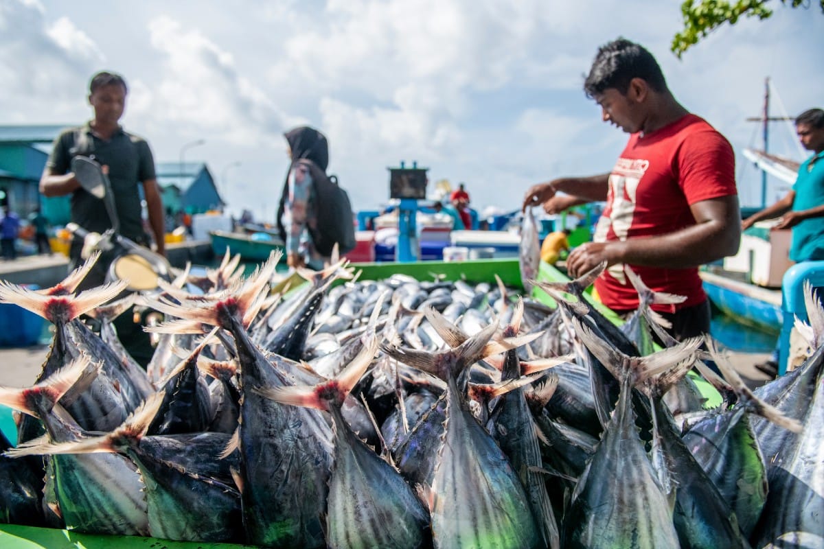 The Quiet Strength in the Numbers: Our Economy Still Inspires Confidence